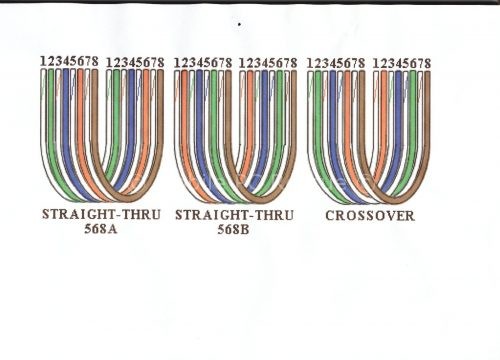 Network Pinout